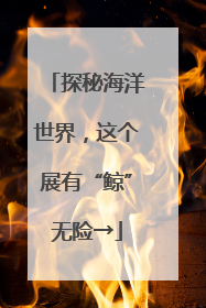 探秘海洋世界，这个展有“鲸”无险→