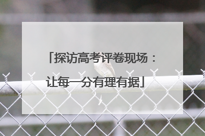 探访高考评卷现场：让每一分有理有据