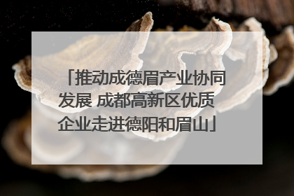 推动成德眉产业协同发展 成都高新区优质企业走进德阳和眉山