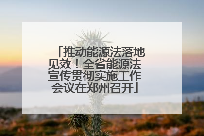 推动能源法落地见效！全省能源法宣传贯彻实施工作会议在郑州召开