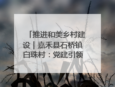 推进和美乡村建设｜嘉禾县石桥镇白珠村：党建引领破“空”局 乡贤聚力绘就新图景