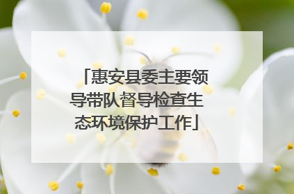惠安县委主要领导带队督导检查生态环境保护工作