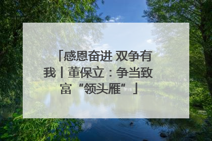 感恩奋进 双争有我丨董保立：争当致富“领头雁”