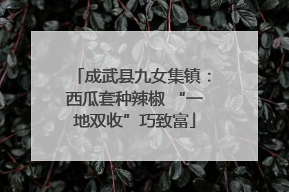 成武县九女集镇：西瓜套种辣椒 “一地双收”巧致富