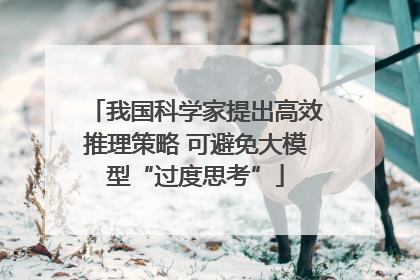 我国科学家提出高效推理策略 可避免大模型“过度思考”