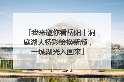 我来邀你看岳阳丨洞庭湖大桥彩绘换新颜，一城湖光入画来