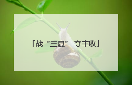 战“三夏” 夺丰收