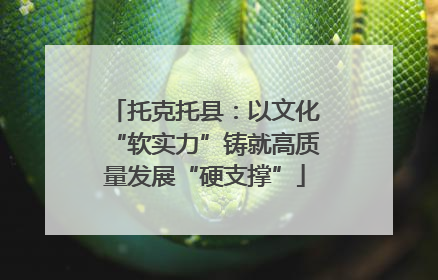 托克托县：以文化“软实力”铸就高质量发展“硬支撑”