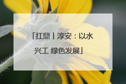 扛鼎丨淳安：以水兴工 绿色发展