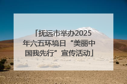抚远市举办2025年六五环境日“美丽中国我先行”宣传活动