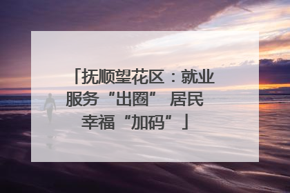 抚顺望花区：就业服务“出圈” 居民幸福“加码”