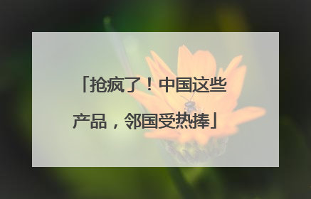 抢疯了！中国这些产品，邻国受热捧