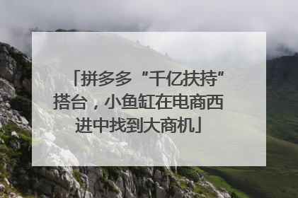 拼多多“千亿扶持”搭台，小鱼缸在电商西进中找到大商机