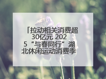 拉动相关消费超30亿元 2025“与春同行”湖北休闲运动消费季活动圆满收官