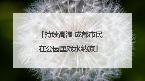 持续高温 成都市民在公园里戏水纳凉
