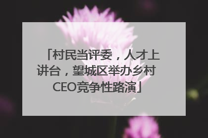 村民当评委，人才上讲台，望城区举办乡村CEO竞争性路演