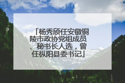 杨秀颀任安徽铜陵市政协党组成员、秘书长人选，曾任枞阳县委书记