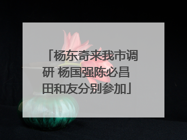 杨东奇来我市调研 杨国强陈必昌田和友分别参加