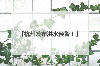 杭州发布洪水预警！