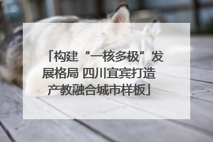 构建“一核多极”发展格局 四川宜宾打造产教融合城市样板