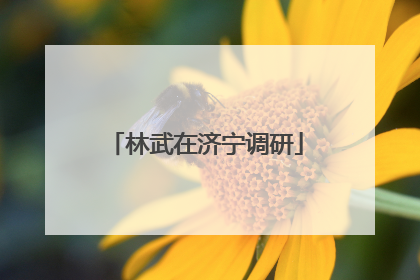 林武在济宁调研