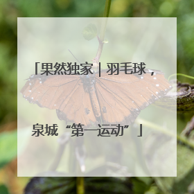 果然独家｜羽毛球，泉城“第一运动”