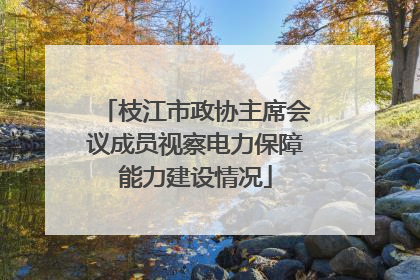 枝江市政协主席会议成员视察电力保障能力建设情况