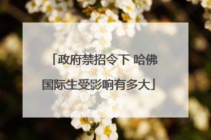 政府禁招令下 哈佛国际生受影响有多大
