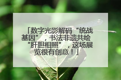 数字光影解码“统战基因”，书法非遗共绘“肝胆相照”，这场展览很有创意！
