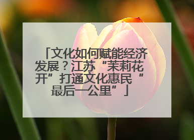 文化如何赋能经济发展？江苏“茉莉花开”打通文化惠民“最后一公里”