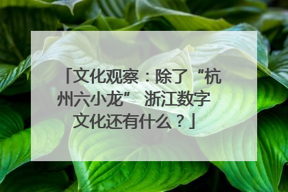 文化观察：除了“杭州六小龙” 浙江数字文化还有什么？
