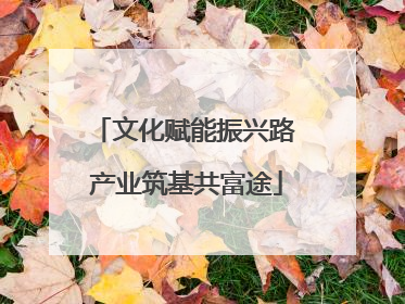文化赋能振兴路 产业筑基共富途