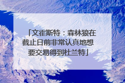 文霍斯特：森林狼在截止日前非常认真地想要交易得到杜兰特
