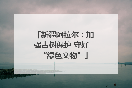 新疆阿拉尔：加强古树保护 守好“绿色文物”