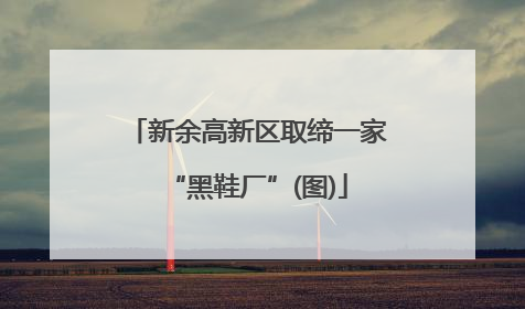 新余高新区取缔一家“黑鞋厂”(图)