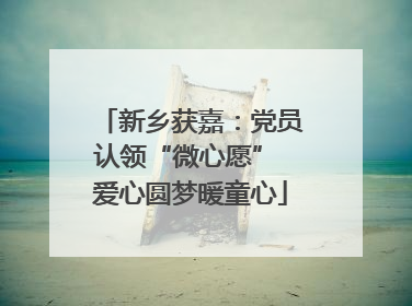 新乡获嘉：党员认领“微心愿” 爱心圆梦暖童心