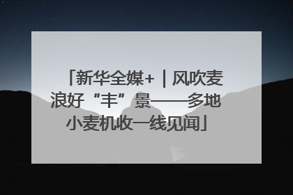 新华全媒+｜风吹麦浪好“丰”景——多地小麦机收一线见闻