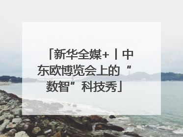 新华全媒+丨中东欧博览会上的“数智”科技秀