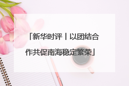 新华时评丨以团结合作共促南海稳定繁荣