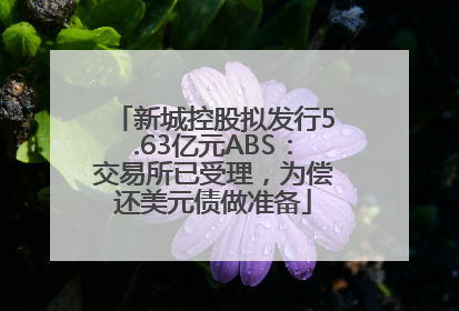 新城控股拟发行5.63亿元ABS：交易所已受理，为偿还美元债做准备