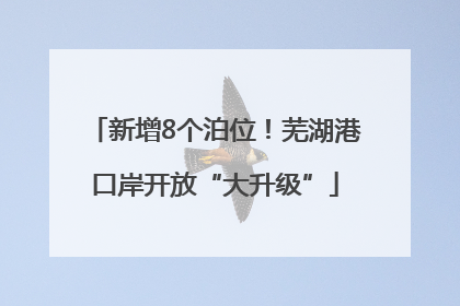 新增8个泊位！芜湖港口岸开放“大升级”