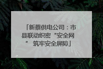 新蔡供电公司：市县联动织密“安全网” 筑牢安全屏障