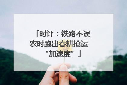 时评：铁路不误农时跑出春耕抢运“加速度”