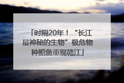 时隔20年！“长江最神秘的生物”极危物种鳤鱼重现赣江