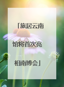 旅居云南馆将首次亮相南博会