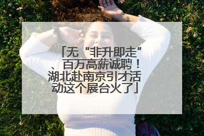 无“非升即走”、百万高薪诚聘！湖北赴南京引才活动这个展台火了