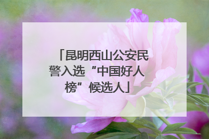 昆明西山公安民警入选“中国好人榜”候选人