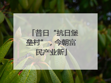 昔日“抗日堡垒村”，今朝富民产业新