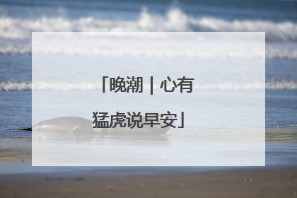 晚潮｜心有猛虎说早安