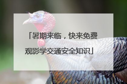 暑期来临，快来免费观影学交通安全知识